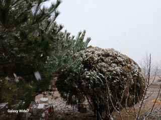 바위돌 심재성님의 자유주제 · 자유게시판 작성글 사진