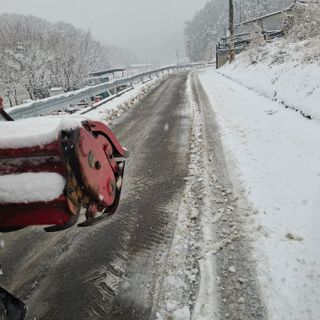 오영도님의 자유주제 · 자유게시판 작성글 사진