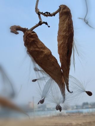 MSG0074님의 자유주제 · 자유게시판 작성글 사진