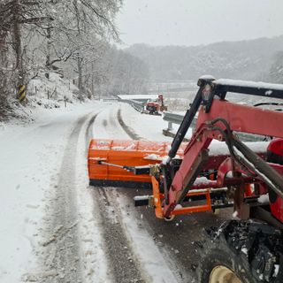 오영도님의 자유주제 · 자유게시판 작성글 사진