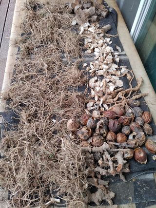 이현상홍길동건강즙님의 자유주제 · 자유게시판 작성글 사진