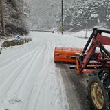 팜모닝 자유주제·자유게시판 게시글 이미지