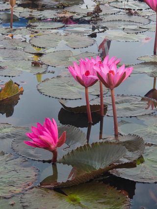 최동수님의 자유주제 · 자유게시판 작성글 사진