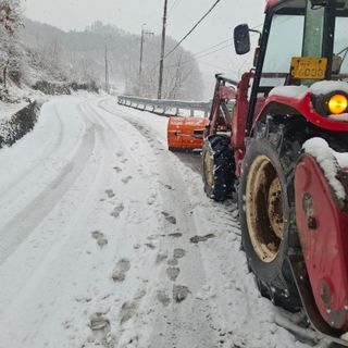 오영도님의 자유주제 · 자유게시판 작성글 사진