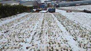 김흥환 님의 자유주제 · 자유게시판 작성글 사진