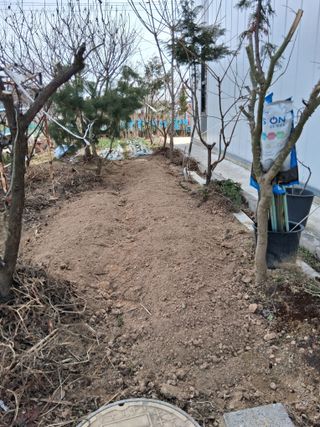 아산님의 자유주제 · 자유게시판 작성글 사진