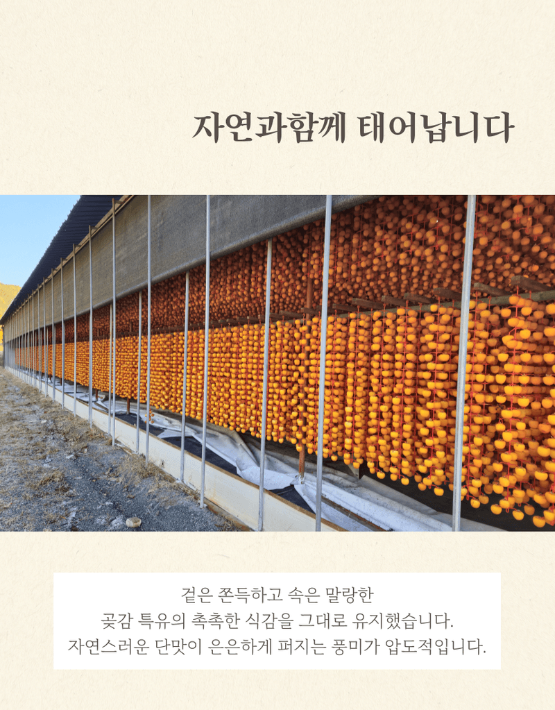 과일팩토리님의 장터 판매 상품 [고당도 상주곶감 국산 프리미엄 건시/반건시/가정용/선물용] 첨부 사진