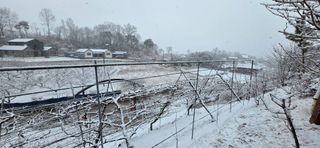 달맛햇복숭아농원님의 자유주제 · 사진전 작성글 사진