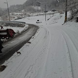 오영도님의 자유주제 · 자유게시판 작성글 사진