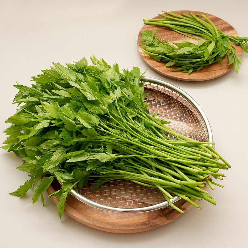 장터 상품 [청도 미나리] 썸네일