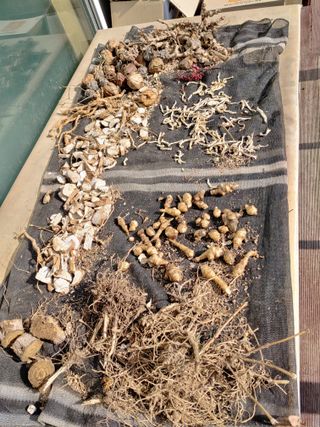 이현상홍길동건강즙님의 자유주제 · 자유게시판 작성글 사진