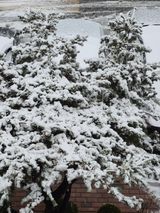 팜모닝 자유주제·자유게시판 게시글 이미지