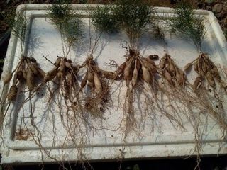 이창신님의 자유주제 · 자유게시판 작성글 사진