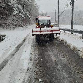 오영도님의 자유주제 · 자유게시판 작성글 사진