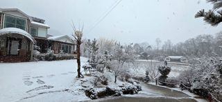 달맛햇복숭아농원님의 자유주제 · 사진전 작성글 사진