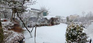 달맛햇복숭아농원님의 자유주제 · 사진전 작성글 사진