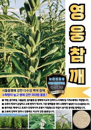 대산농사대장님의 작성글 사진