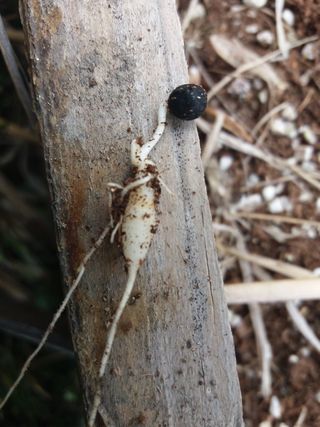 이창신님의 자유주제 · 자유게시판 작성글 사진