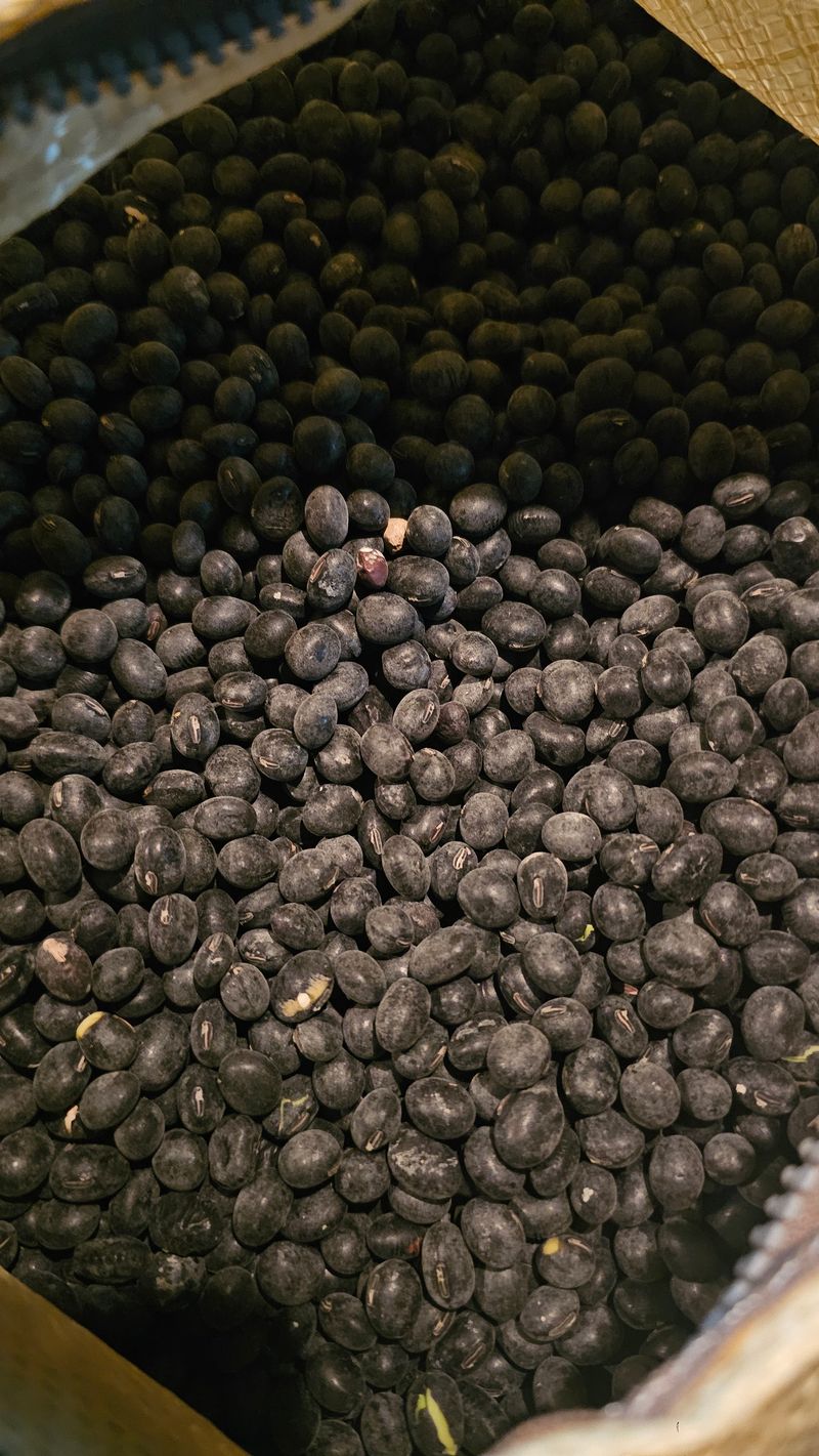 5도2촌님의 장터 판매 상품 [기계선별 속청새바람서리태 8000원] 첨부 사진