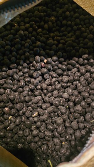 5도2촌님의 작성글 사진