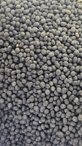 5도2촌님의 작성글 사진