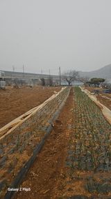 팜모닝 자유주제·자유게시판 게시글 이미지