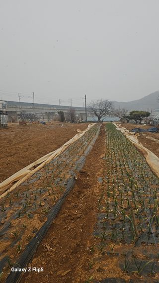 마당님의 자유주제 · 자유게시판 작성글 사진