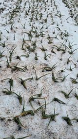 김흥환 님의 자유주제·자유게시판 작성글 사진