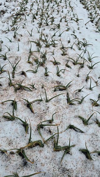 김흥환 님의 자유주제 · 자유게시판 작성글 사진