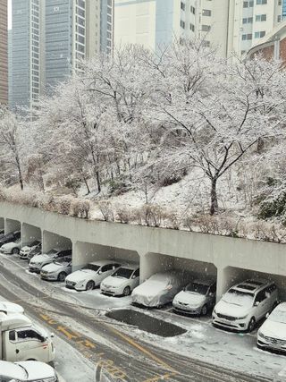 허굴산농장님의 자유주제 · 자유게시판 작성글 사진