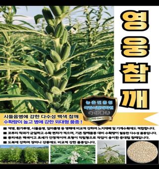 대산농사대장님의 작성글 사진