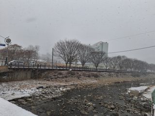 MSG0074님의 자유주제 · 자유게시판 작성글 사진