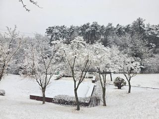 뚝방님의 자유주제 · 자유게시판 작성글 사진
