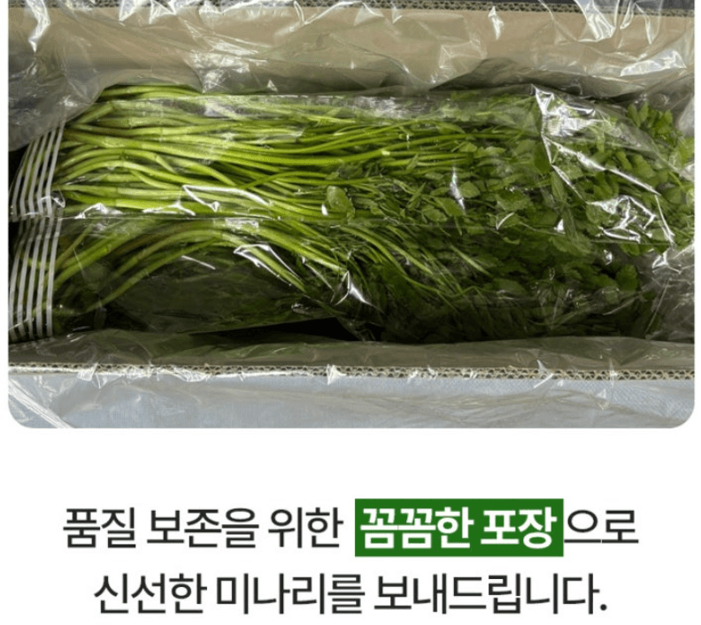 스피드번님의 장터 판매 상품 [청도 미나리] 첨부 사진
