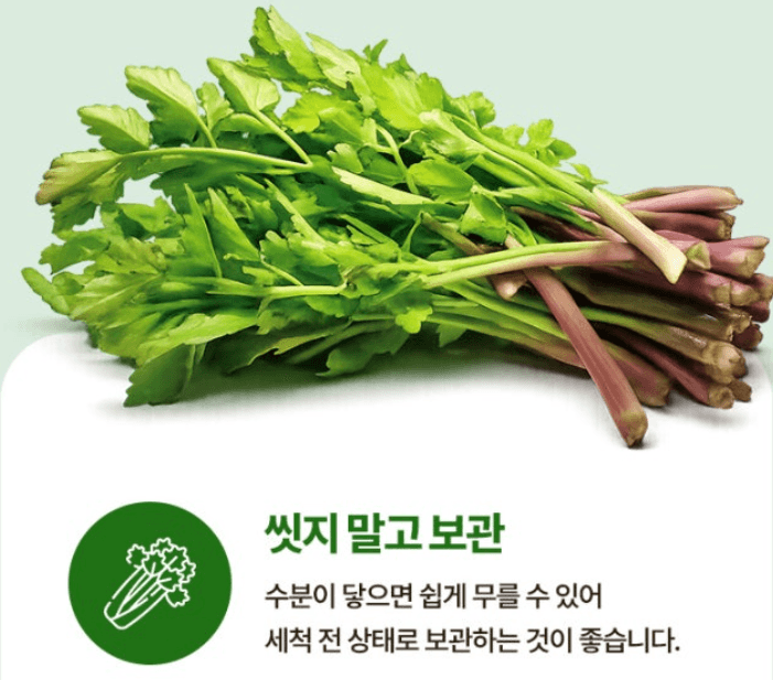 스피드번님의 장터 판매 상품 [청도 미나리] 첨부 사진