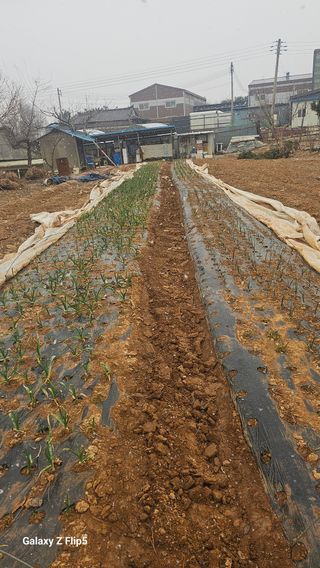 마당님의 자유주제 · 자유게시판 작성글 사진