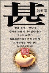 팜모닝 자유주제·자유게시판 게시글 이미지