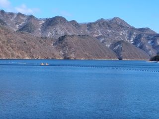 MSG0074님의 자유주제 · 자유게시판 작성글 사진