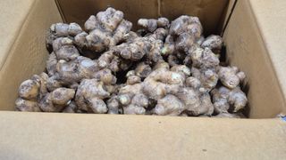 제니 박 상님의 작성글 사진