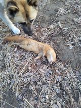 팜모닝 자유주제·자유게시판 게시글 이미지