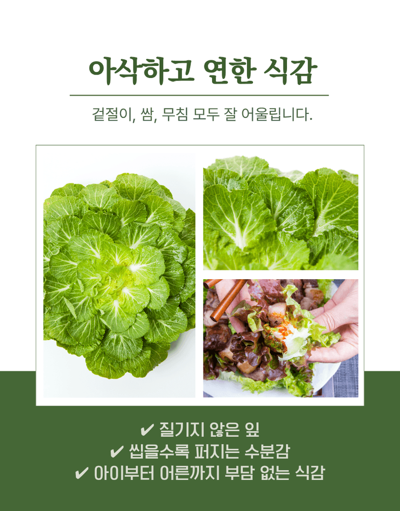 과일팩토리님의 장터 판매 상품 [산지직송 신선한 국내산 제철 채소 봄동 1kg/2kg/3kg/5kg/10kg] 첨부 사진