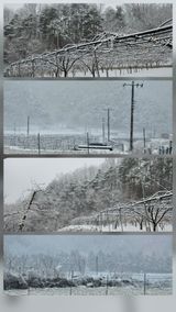 팜모닝 자유주제·자유게시판 게시글 이미지