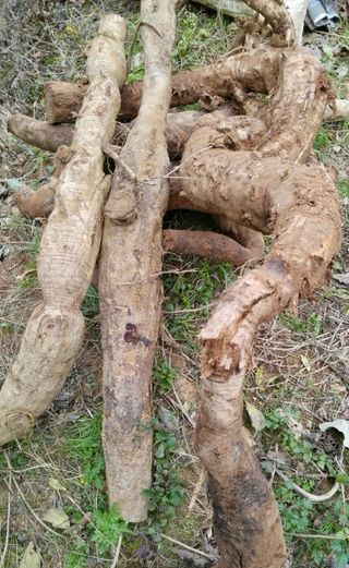 풀농님의 자유주제 · 자유게시판 작성글 사진