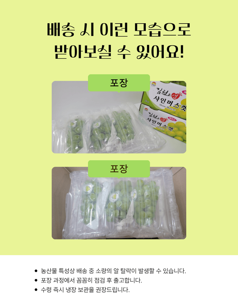 과일팩토리님의 장터 판매 상품 [프리미엄 고당도 고급포도 샤인머스캣 1등급/2등급/특등급] 첨부 사진