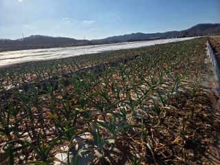 김태혁님의 자유주제 · 자유게시판 작성글 사진