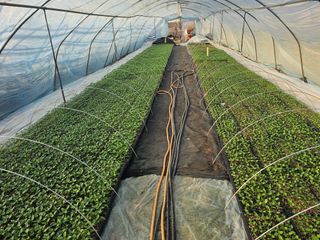 이인오님의 자유주제 · 자유게시판 작성글 사진