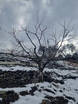 팜모닝 자유주제·자유게시판 게시글 이미지