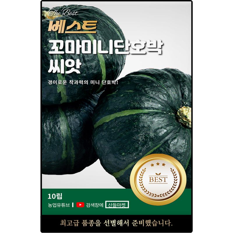 장터 상품 [베스트 꼬마 미니단호박 씨앗 10립 착과력 우수하고 당도가 높은 미니 단호박씨 종자] 썸네일