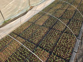 이인오님의 자유주제 · 자유게시판 작성글 사진