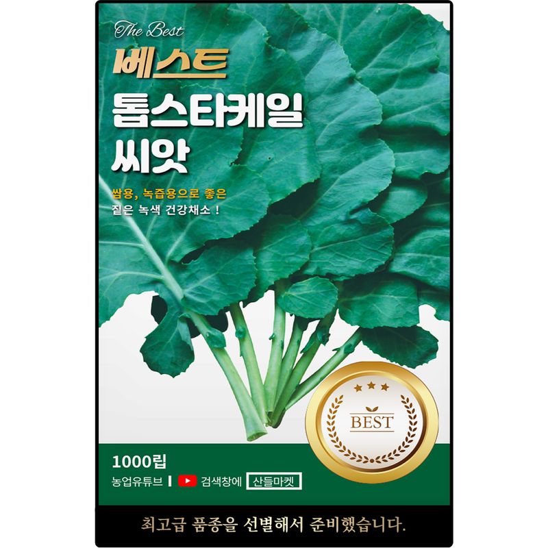 장터 상품 [베스트 톱스타 케일 씨앗 1000립 쌈채 주스용으로 좋은 일반종 케일씨 종자] 썸네일